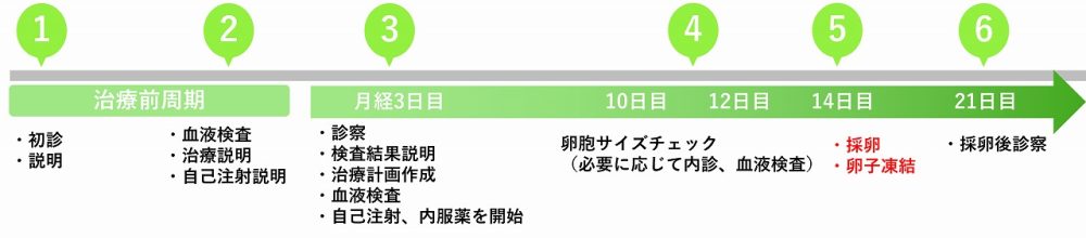 当院での卵子凍結の流れ